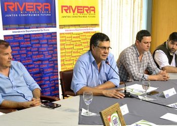 Informe de Gestión Anual 2016-2017 IDR