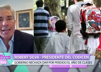 Gobierno rechaza dar por perdido el año de clases