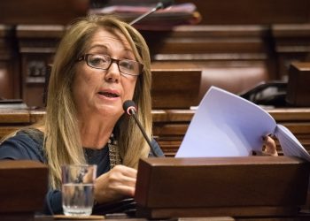 Diputada Susana Montaner