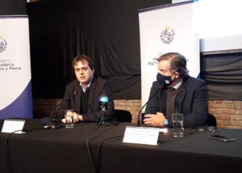 Nicolás Chiesa