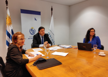 XXV Reunión Ordinaria de Ministros de Medio Ambiente del Mercosur