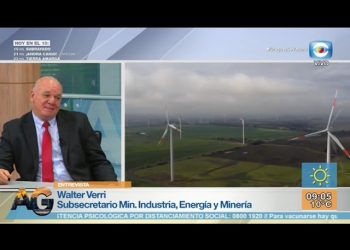Entrevista – Combustible, portaland y movilidad eléctrica / Walter Verri – Subsec. de Industria