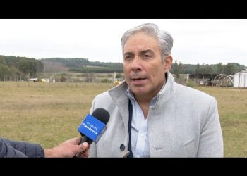 Entrevista al presidente de la ANEP, Robert Silva