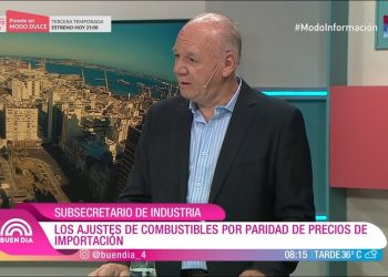 Walter Verri: El valor de los combustibles en la región