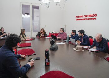 Comité Ejecutivo Nacional 2025